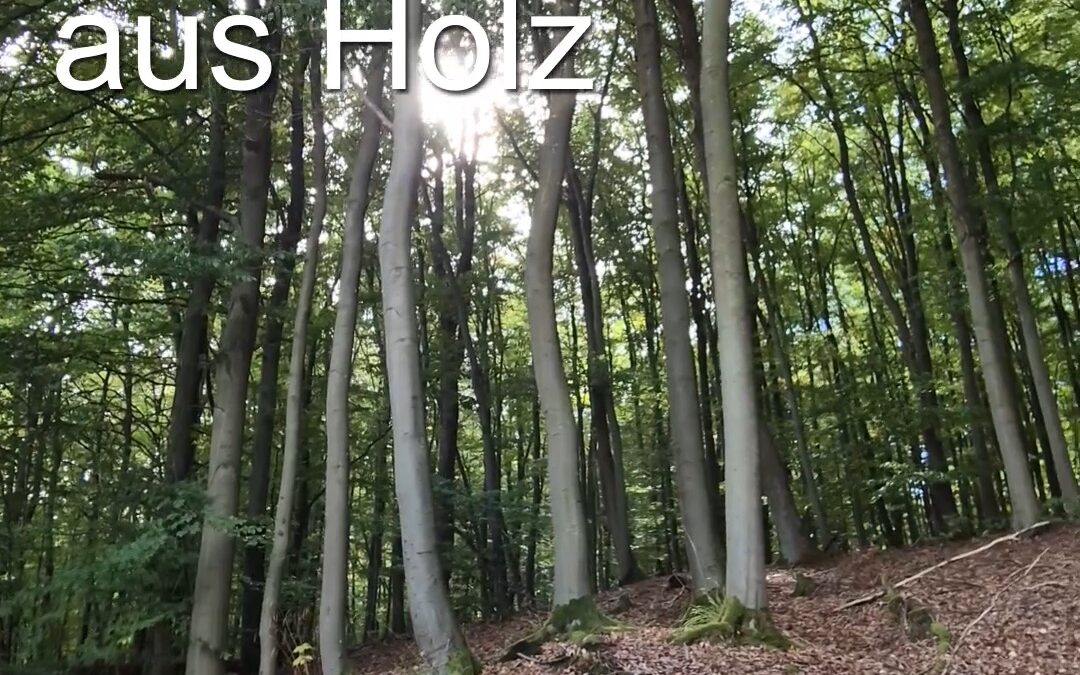 Kathedralen aus Holz