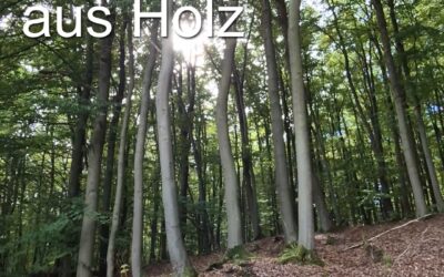 Kathedralen aus Holz